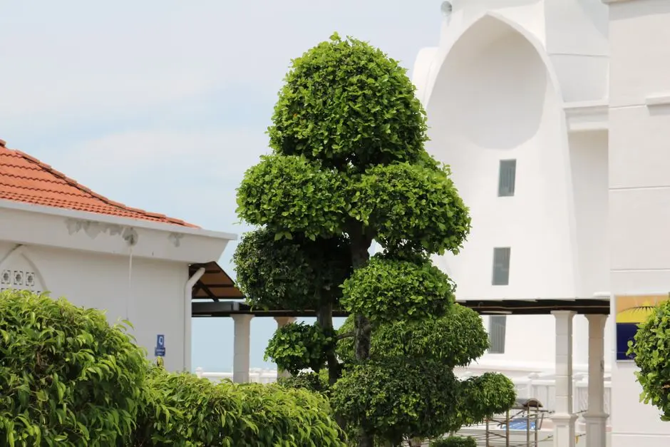 Greens & Outdoors at CASAGRAND FIRSTCITY, Sholinganallur, Chennai