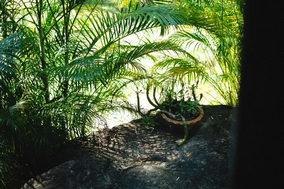 Greens & Outdoors at CASAGRAND COLOSSEUM, Avarampalayam, Coimbatore