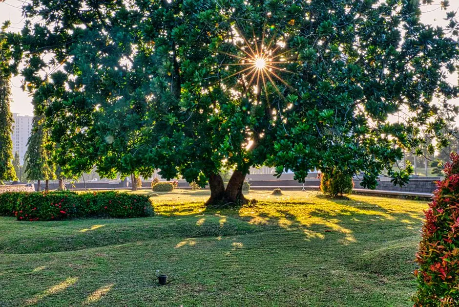 Greens & Outdoors at CASAGRAND ORCHARDS VILLA, Kannampalayam, Coimbatore