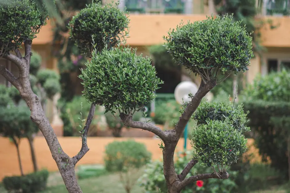 Greens & Outdoors at CASAGRAND SOLITAIRE, Vellakinar, Coimbatore