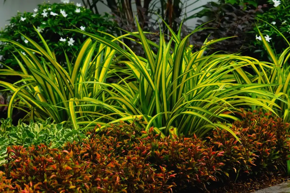 Greens & Outdoors at CASAGRAND NEXTOWN, Vilankurichi, Coimbatore