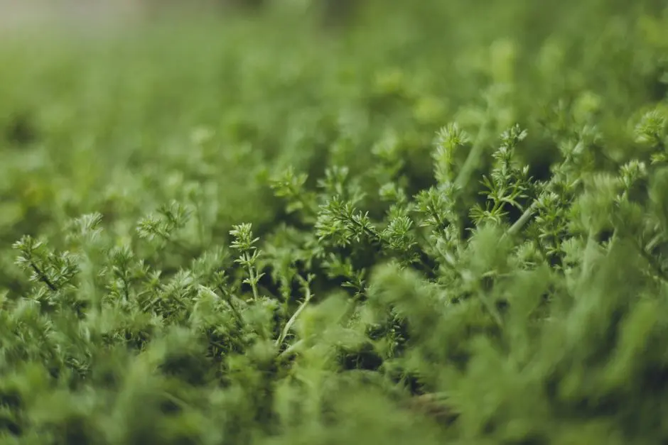 Greens & Outdoors at CASAGRAND BIZPARK, Sholinganallur, Chennai