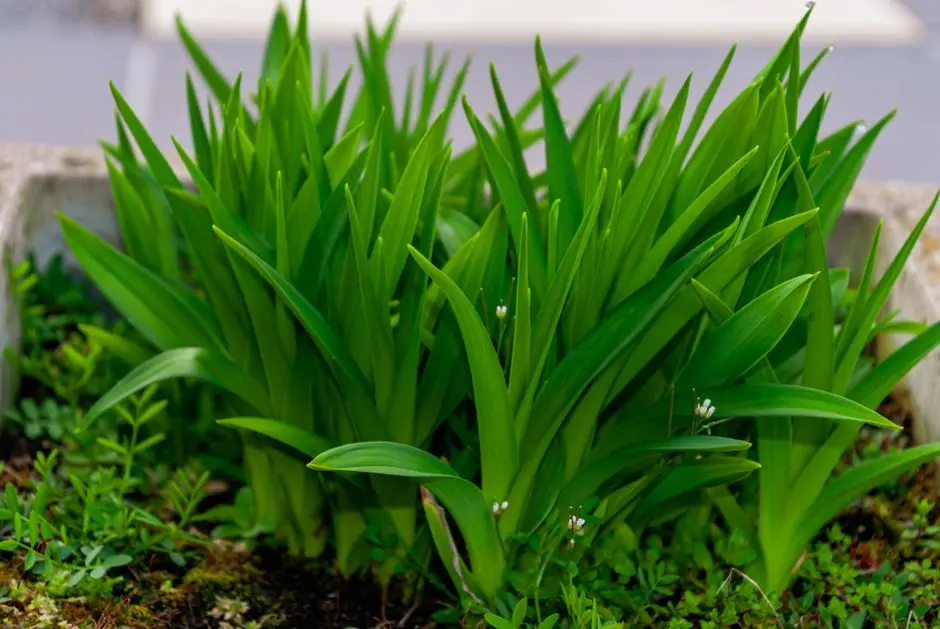 Greens & Outdoors at CASAGRAND CONNECT, Kelambakkam, Chennai