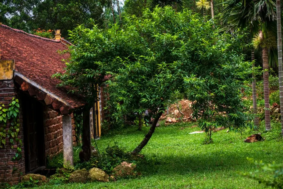 Greens & Outdoors at CASAGRAND TUDOR, Mogappair, Chennai