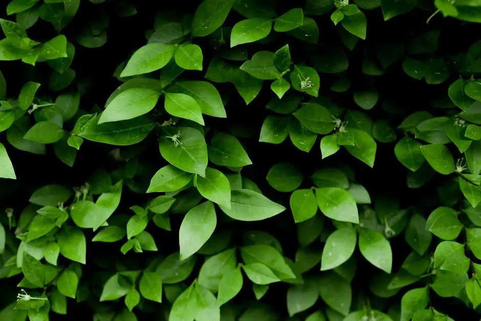 Greens & Outdoors at CASAGRAND KEATSWAY, Nagavara Junction, HBR Layout, Bangalore