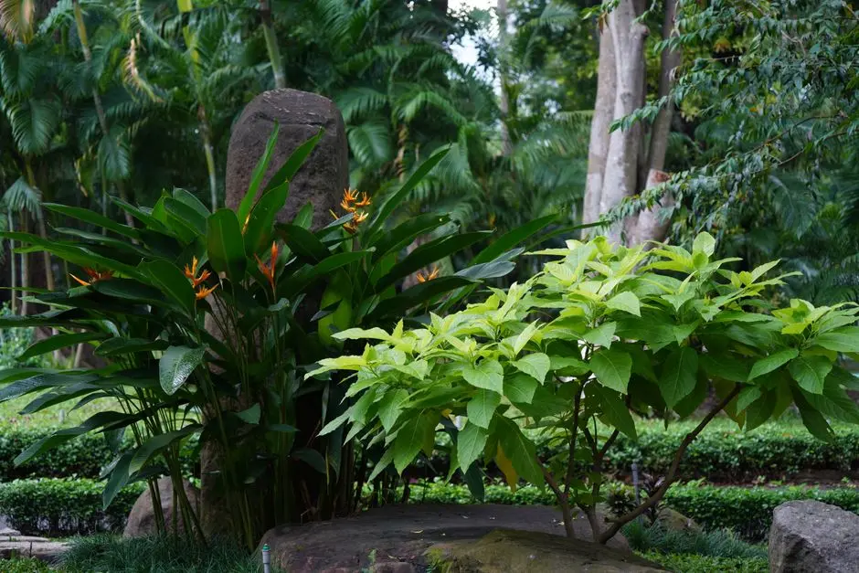 Greens & Outdoors at CASAGRAND CRESTWOOD, Pudur, Hyderabad