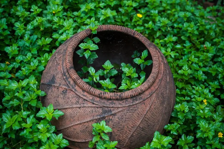 Greens & Outdoors at CASAGRAND ESTIA, Vengambakkam, Chennai