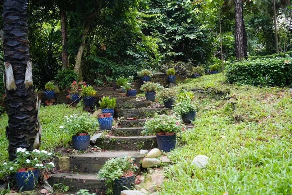 Greens & Outdoors at CASAGRAND WAGHOLI, Pune