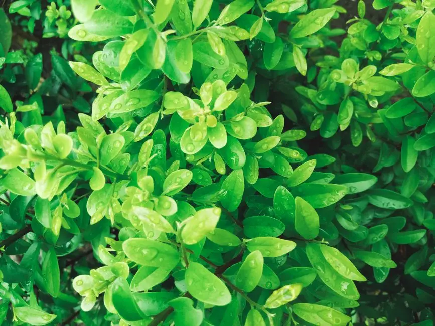 Greens & Outdoors at CASAGRAND ORLENA, Hennur, Bangalore