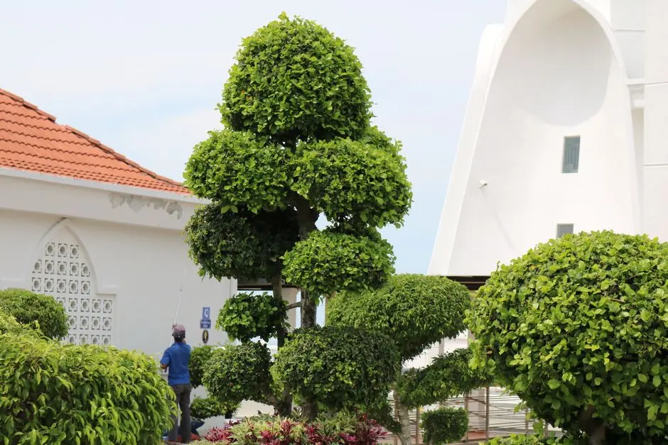 Greens & Outdoors at CASAGRAND HERMINA, Dubai Islands, Dubai