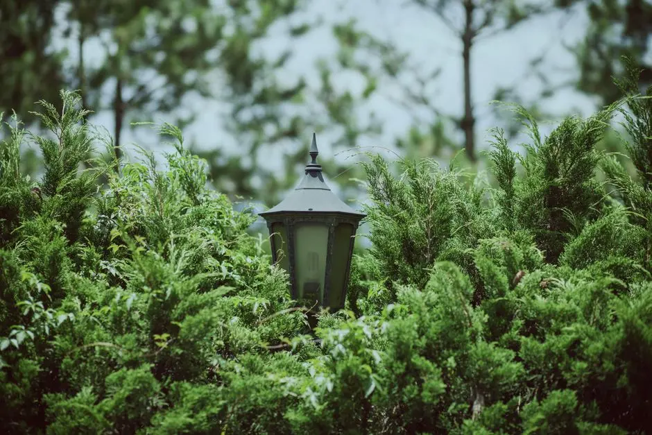 Greens & Outdoors at CASAGRAND PALM SPRINGS, Medavakkam, Chennai
