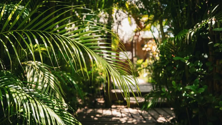 Greens & Outdoors at CASAGRAND FLAGSHIP VILLA, Pallikaranai, Chennai