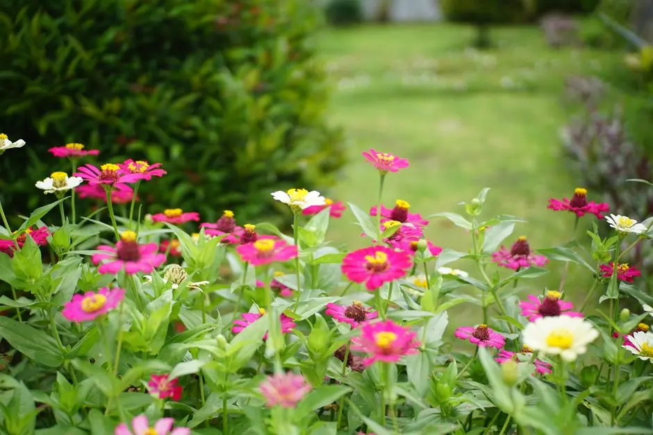 Greens & Outdoors at CASAGRAND TRANQUIL, Pallikaranai, Chennai